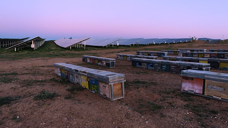 Spain and France have set the standard for expanding renewable energy without loss of biodiversity – SPE