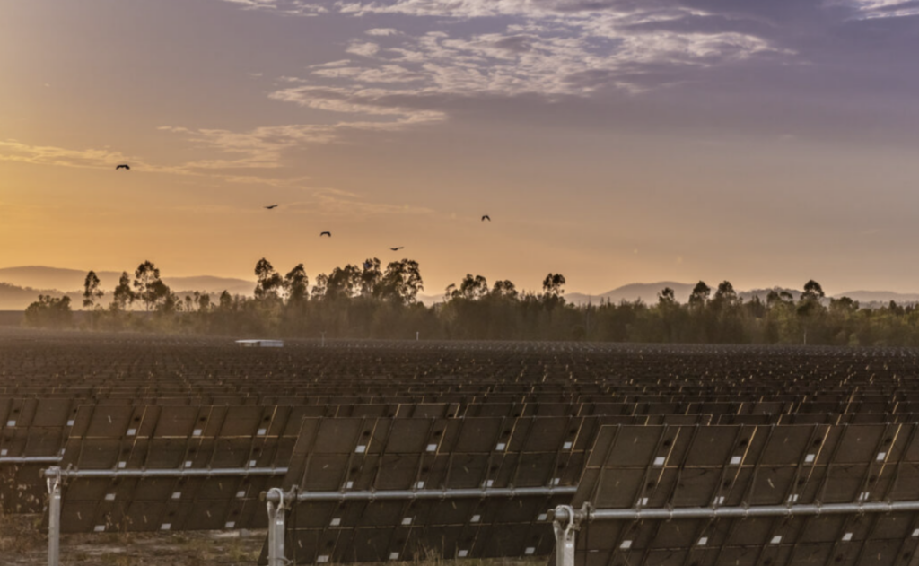 Genex cuts Bulli Creek solar to 300 MW, adds 1.7 GWh of storage – SPE