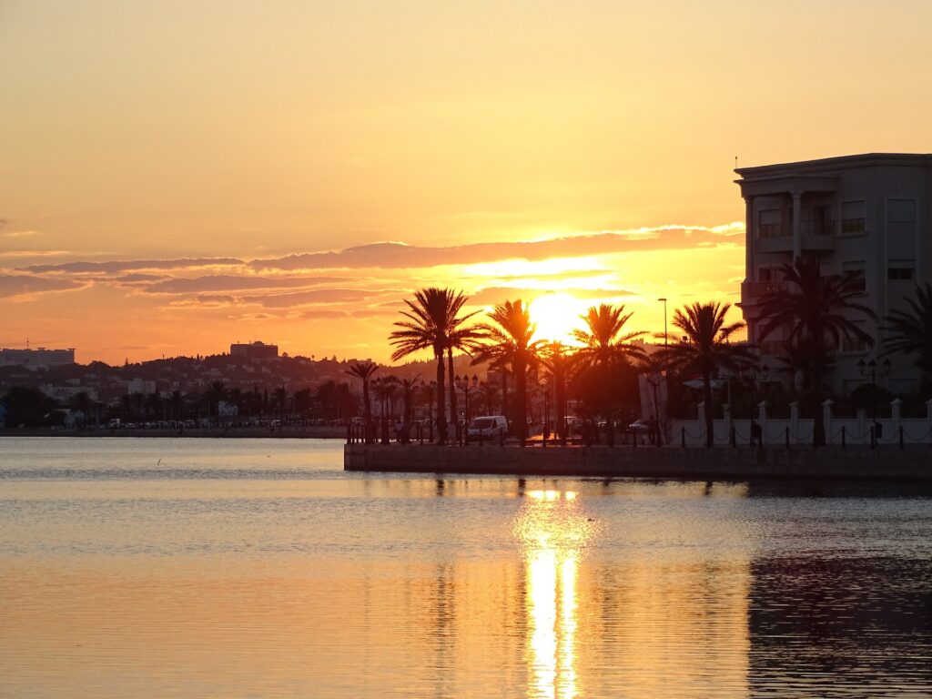 Tunisia allows residential solar plus storage during heatwave
