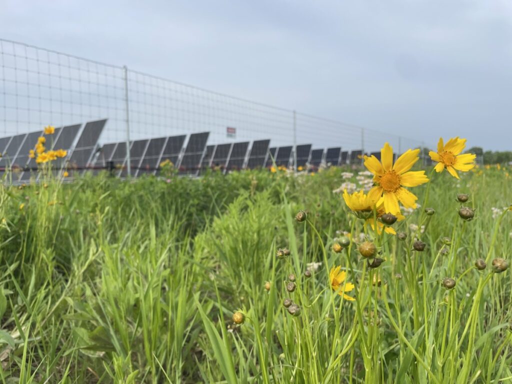 Sol Systems adds to project portfolio with Texas acquisition | Projects Weekly